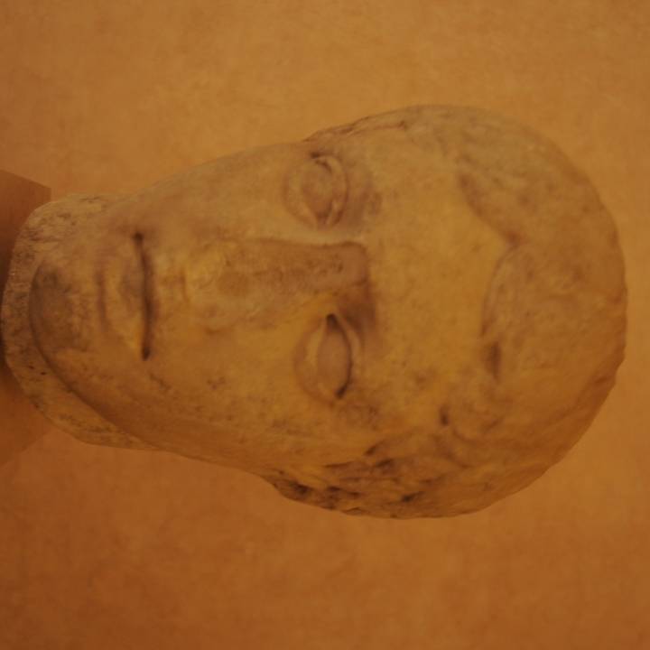 Head of Doryphorus image