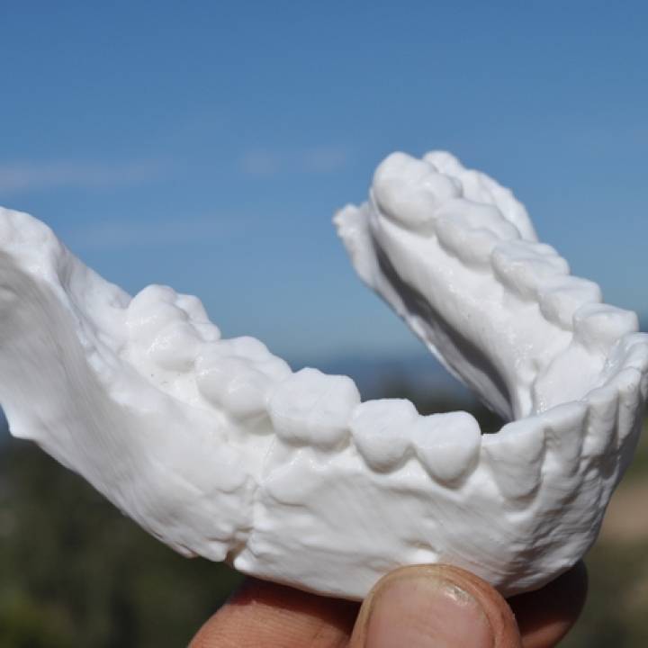 Homo Naledi Jaw from Rising Star Cave image