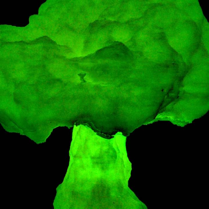 Radioactive Cauliflower image