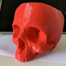 Picture of print of Skull Bowl