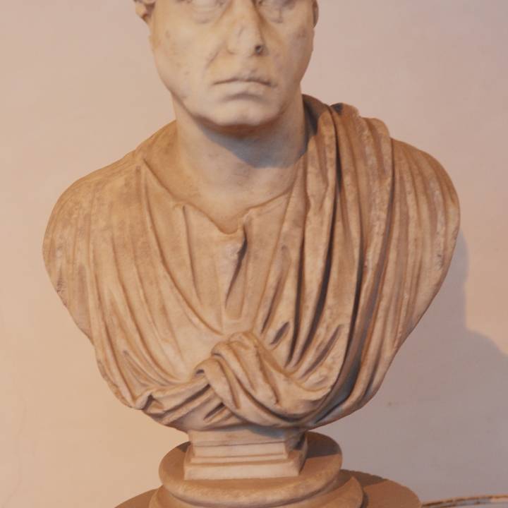 Bust of a male image