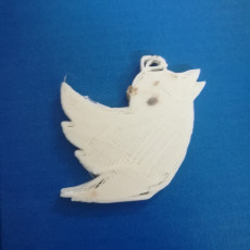 Picture of print of Twitter Keychain