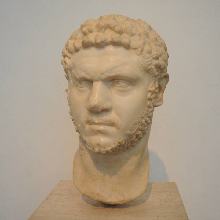 Portrait of Caracalla image