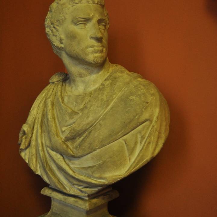 Portrait of Brutus image