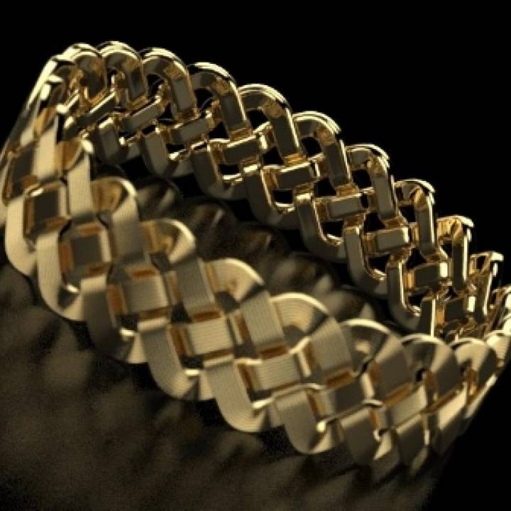 3D Printable Braid Knotty Jewel Ring by Maxim Pelevin