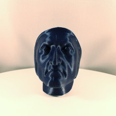 Picture of print of Death Mask of Dante Alighieri