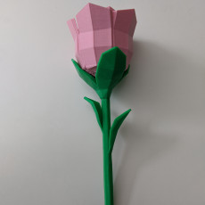 Picture of print of Low poly Rose