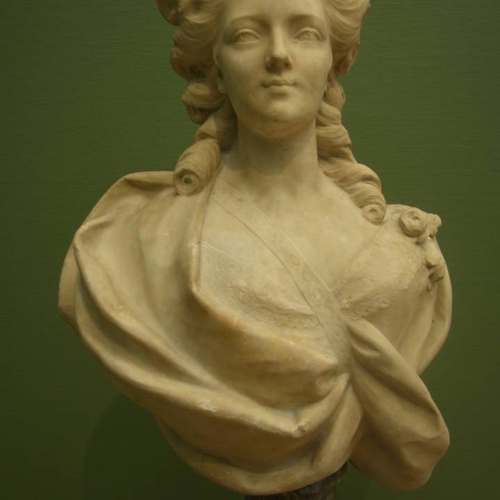 Bust of an Unknown woman image