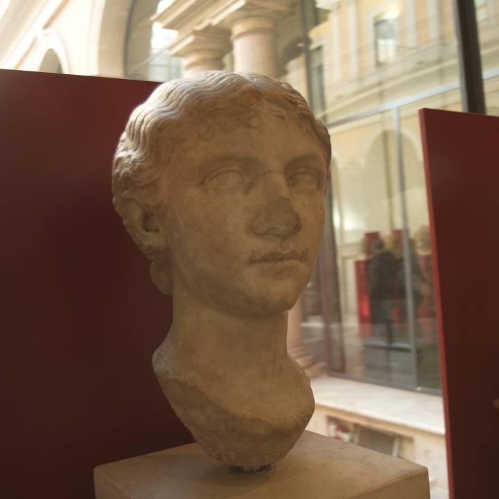 Head attributed to Antonia Minor image