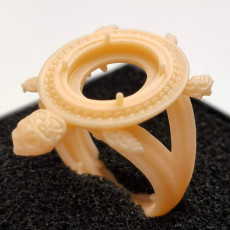 Picture of print of Ring turtle