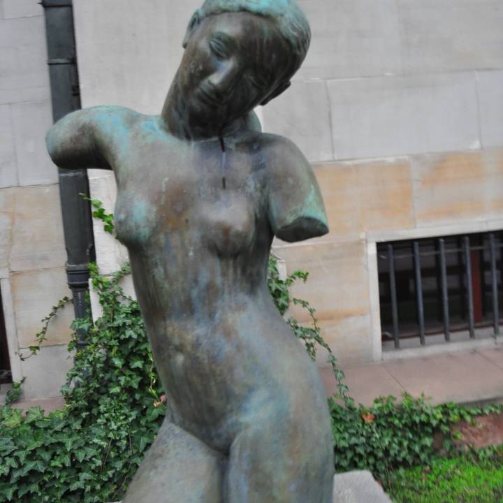 Bronze Woman image