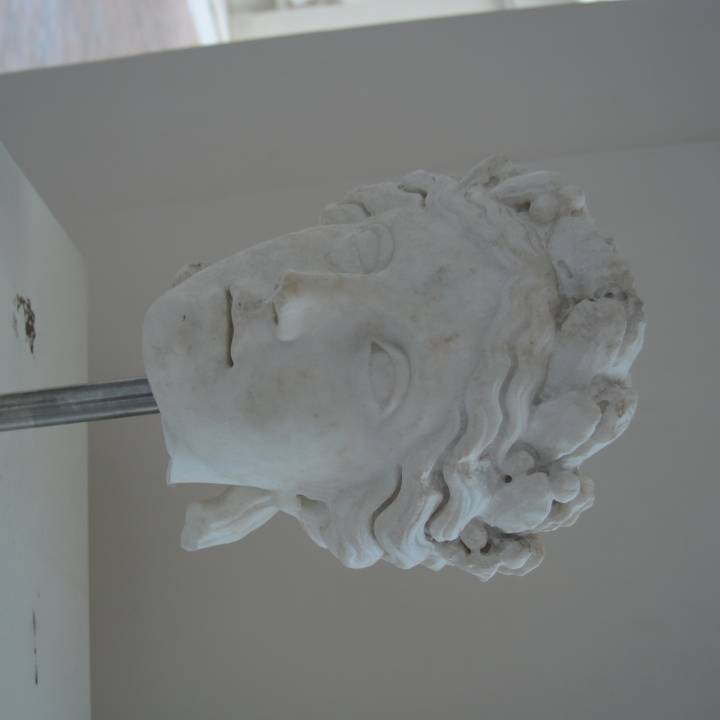 Head of Apollo image