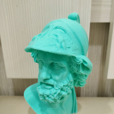 Picture of print of Bust of Menelaus