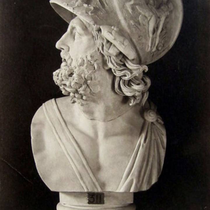 Bust of Menelaus image