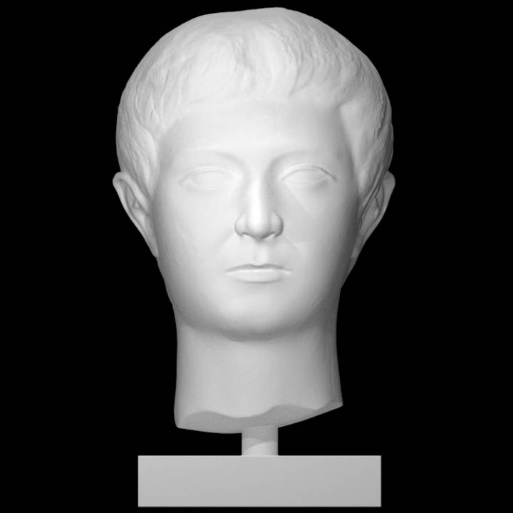 Head of a flat-faced young man image