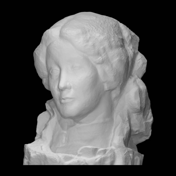 Portrait of the Sculptor's Wife image