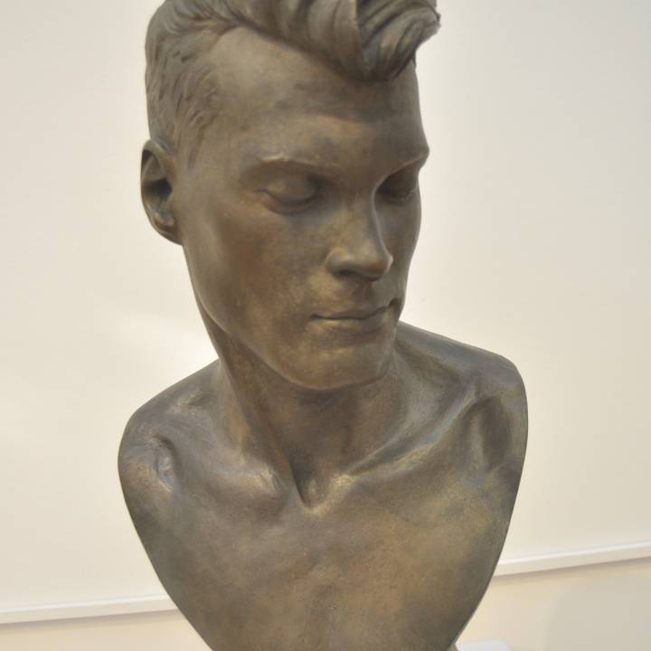 Head of a Young Man image