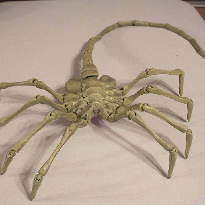Agisis Ultimate Alien Face Hugger (40in x 23in - LIFE SIZE!) image
