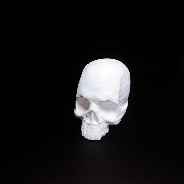 Skull 3D image