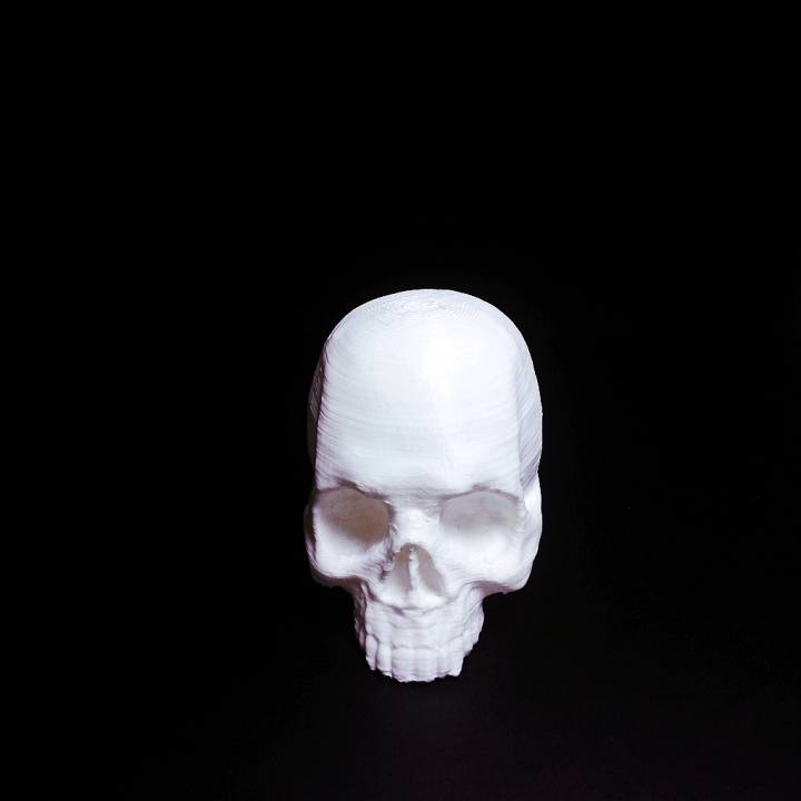 Skull 3D image