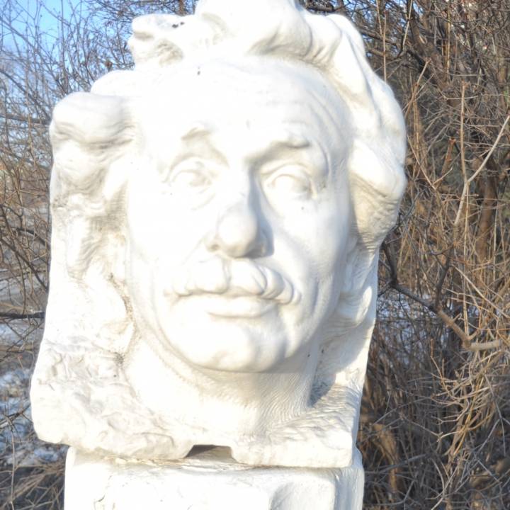 Portrait of Einstein image