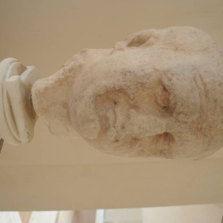 Portrait of Vespasian image