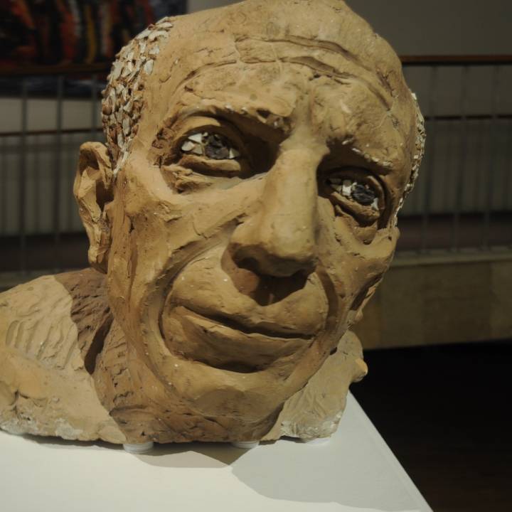 A Portrait of Pablo Picasso image