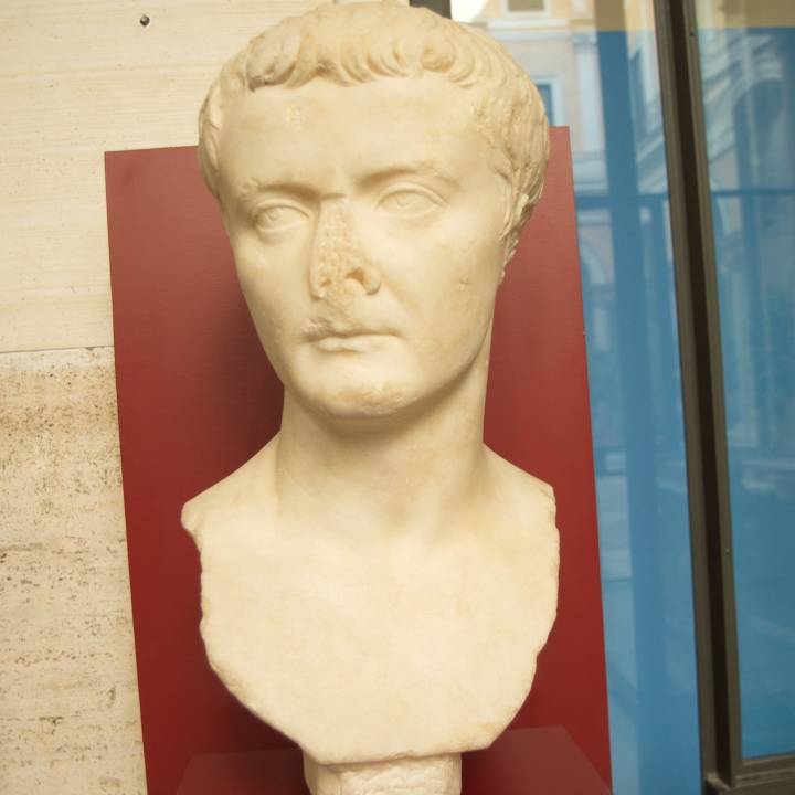 Portrait of Tiberius image