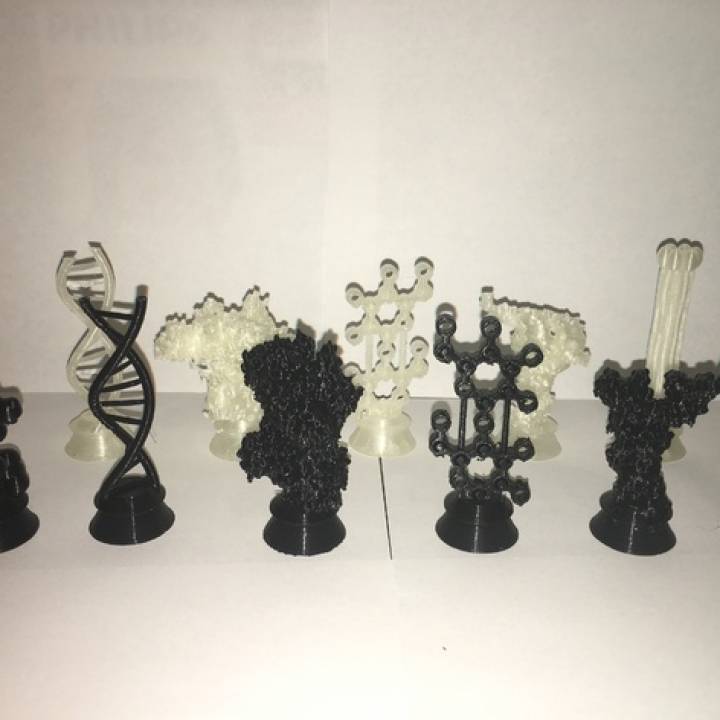 Biochemistry Chess Set image