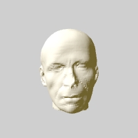 met-marble-portrait-bust-of-a-man image