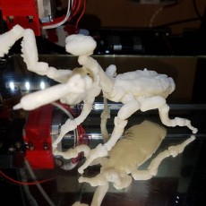 Picture of print of Fully Articulated Praying Mantis Toy