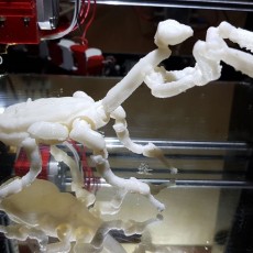 Picture of print of Fully Articulated Praying Mantis Toy