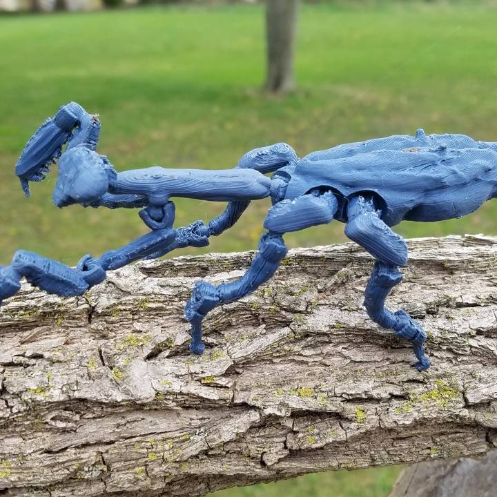 Fully Articulated Praying Mantis Toy image