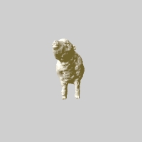 sheep-at-the-natural-history-museum image