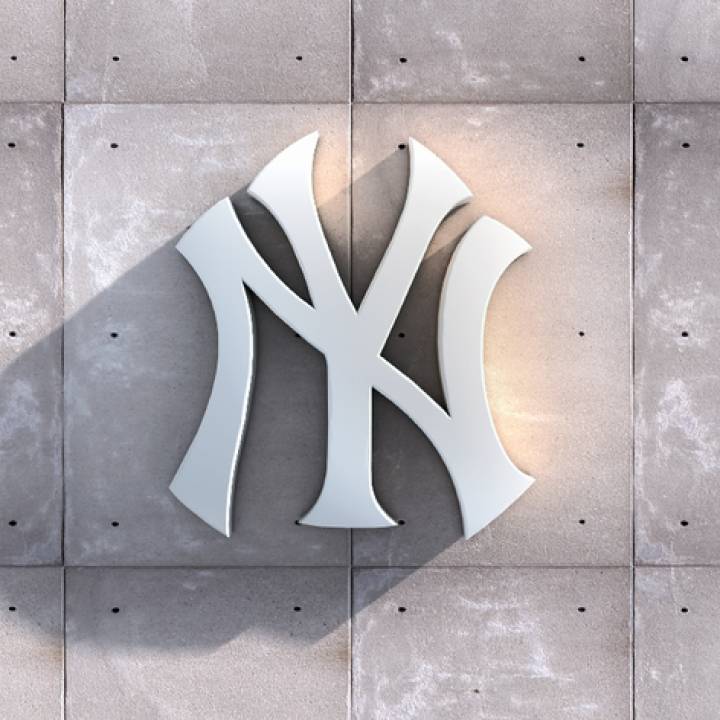 New York Yankee Logo image