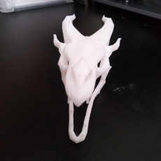 Picture of print of Dragon skull from Skyrim
