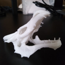 Picture of print of Dragon skull from Skyrim