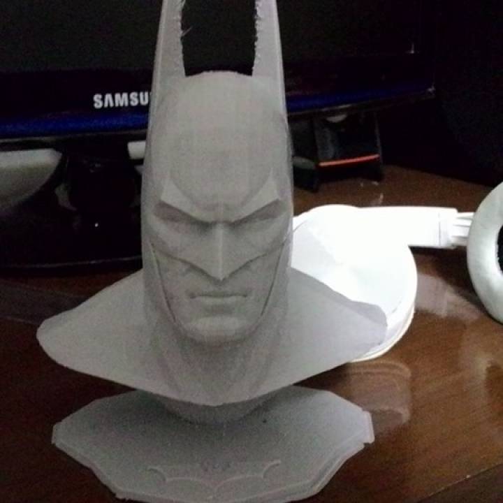 Batman Arkham Asylum Bust image