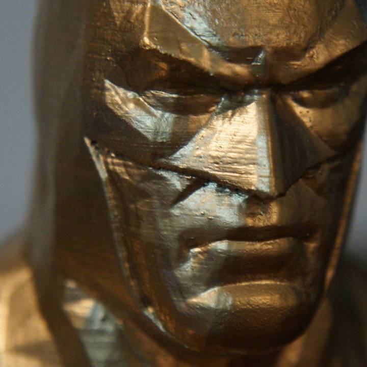 Batman Arkham Asylum Bust image
