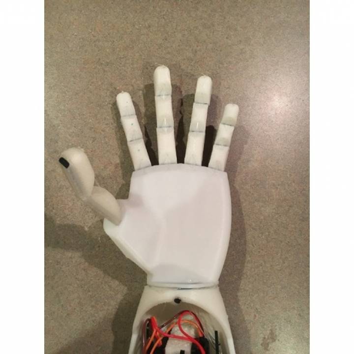 Robotic Prosthetic Hand image