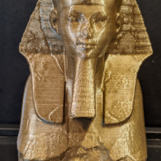 Picture of print of Head and Shoulders of a Sphinx of Hatshepsut