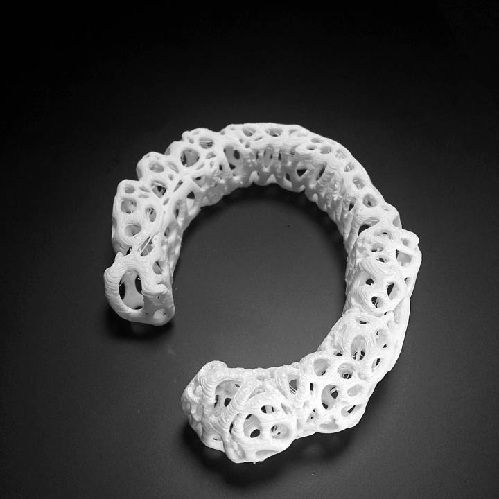 Esculation Bracelet - Voronoi Style image