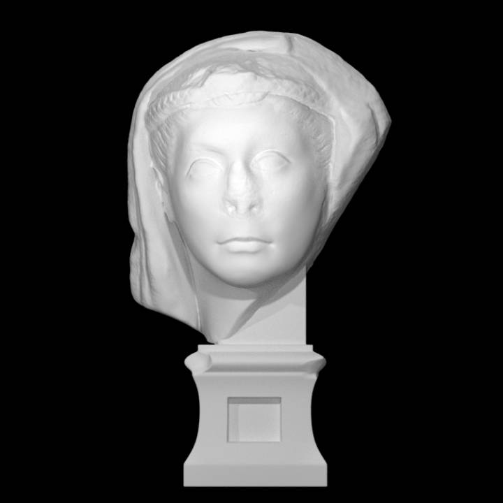 Veiled Female Portrait image