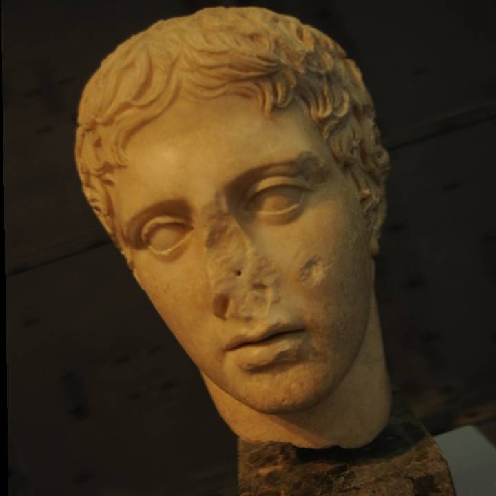 Head of Hercules image