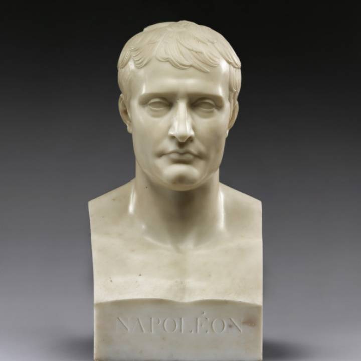 Bust of Napoleon I image
