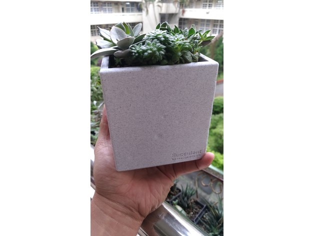 cement like succulent pot by orangeteacher image