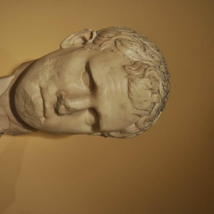 Portrait of Marcus Vispanius Agrippa image