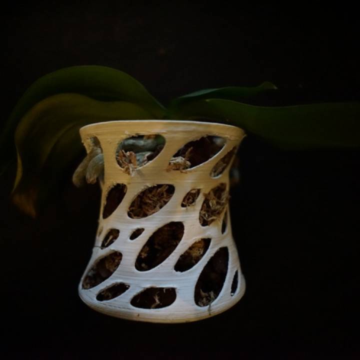 Orchid vase image