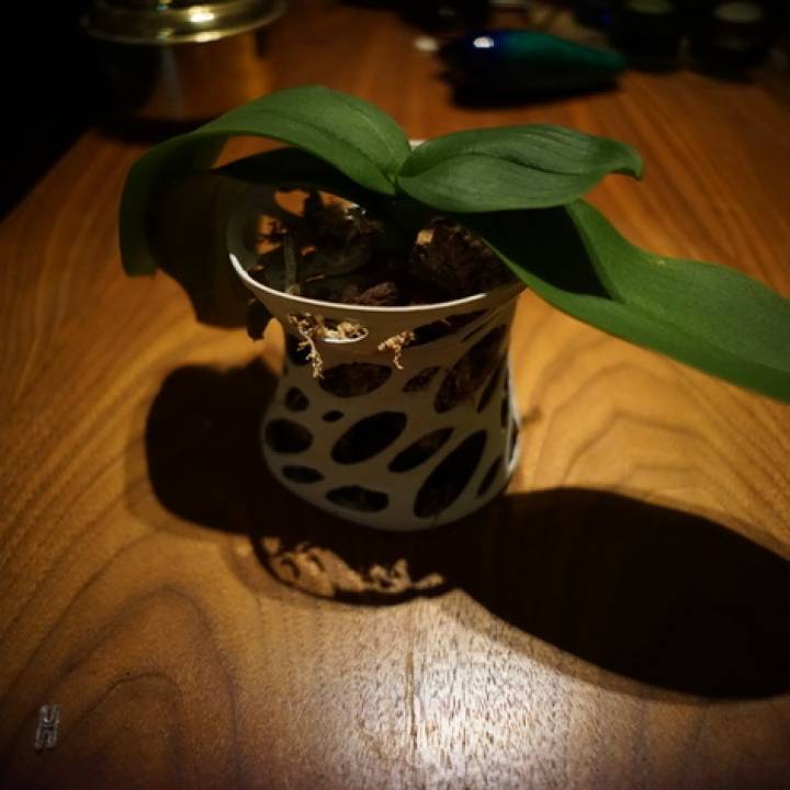 Orchid vase image