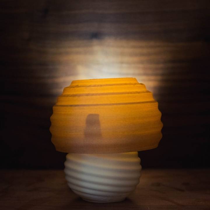 Wavy mushroom lamp image